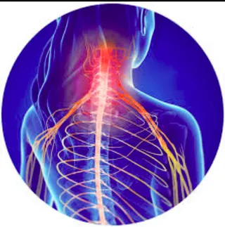 Nerve & Spine homeopathic treatment